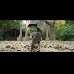 全网VIP视频解析单页源码