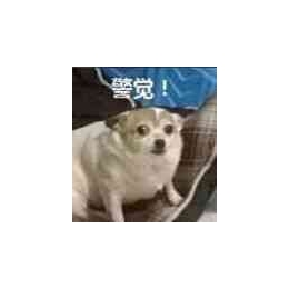 通过手机号查他人名字方法