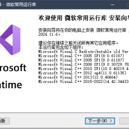 微软常用运行库