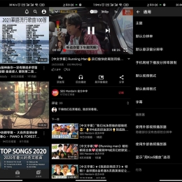 油管纯净版Pure Tuber v3.6.0.102