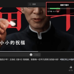 微信视频号下载助手v260502