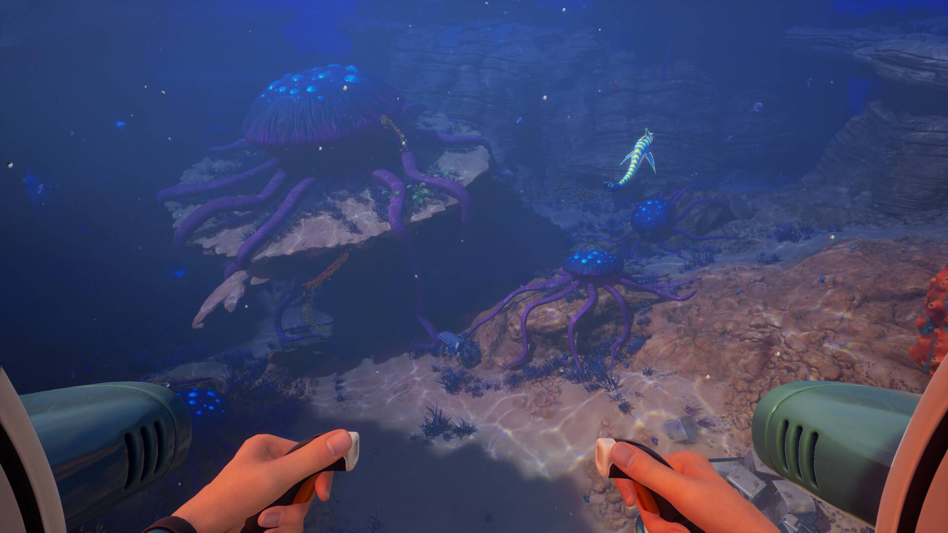 compressed_image_5.jpeg 深海迷航2/异星水域2/Subnautica 2 - 南图博客 - 优质稀缺资源发布平台,努力创造一个顶级资源站